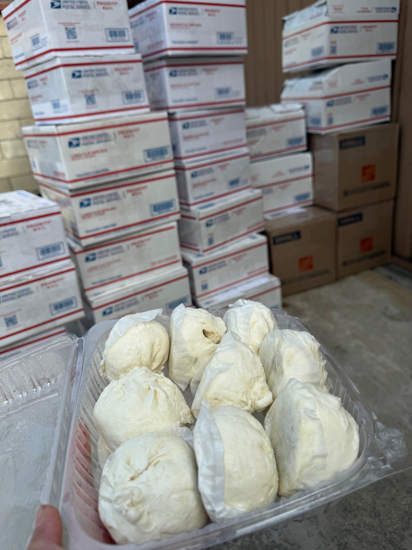 Bao( Asia flavor)abox 9pc